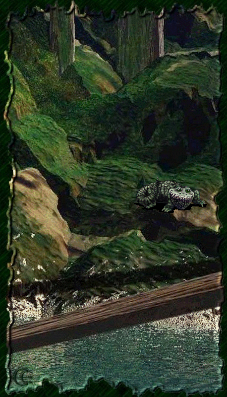 © Carmen Ezgeta © Carmen Ezgeta